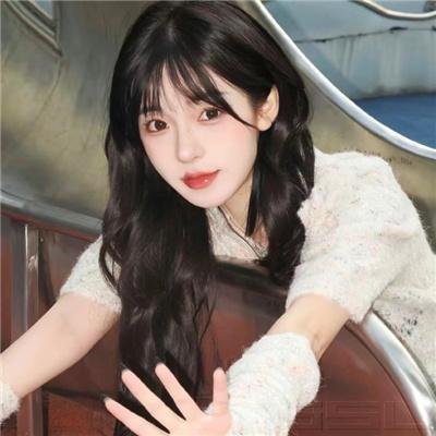 菜鸟老警第五季